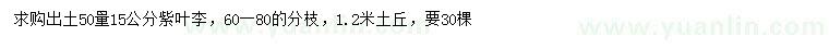 求購50量15公分紫葉李