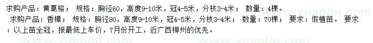 求購(gòu)胸徑60公分黃葛榕、胸徑80公分香樟