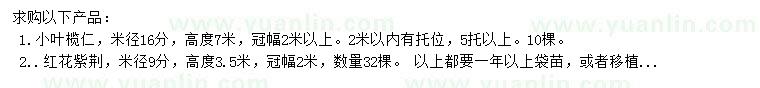 求購(gòu)米徑16公分小葉欖仁、米徑9公分紅花紫荊