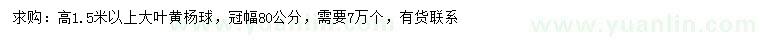 求購(gòu)高1.5米以上大葉黃楊球