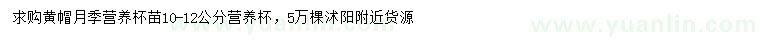 求購(gòu)10-12公分黃帽月季
