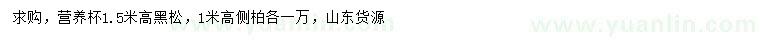 求購(gòu)高1.5米黑松、高1米側(cè)柏