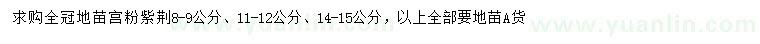 求購8-9、11-12、14-15公分宮粉紫荊