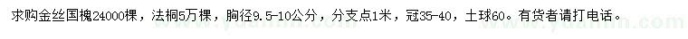 求購(gòu)胸徑9.5-10公分金絲國(guó)槐、法桐