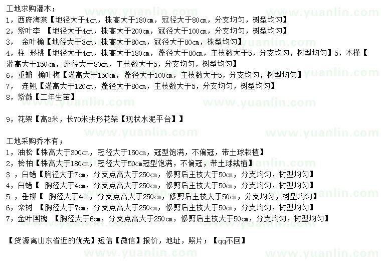 求購西府海棠、紫葉李、金葉榆等