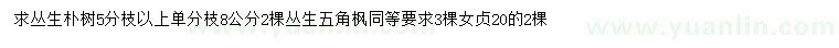 求購樸樹、五角楓、女貞