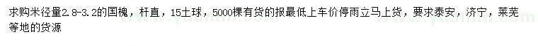 求購米徑2.8-3.2公分國槐