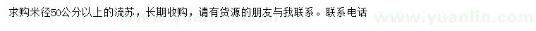 求購米徑50公分以上流蘇