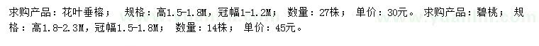 求購高1.5-1.8米花葉垂榕、1.8-2.3米碧桃