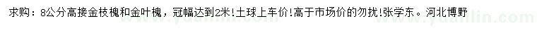 求購高8公分金枝槐、金葉槐