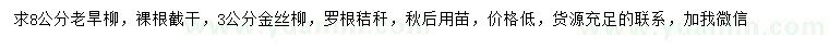 求購8公分老旱柳、3公分金絲柳