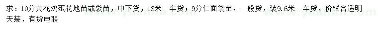 求購10公分黃花雞蛋花