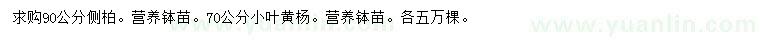 求購90公分側(cè)柏