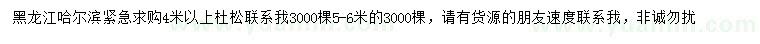 求購4米以上杜松