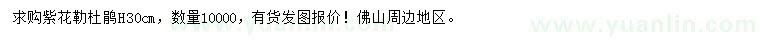 求購(gòu)高30公分紫花勒杜鵑