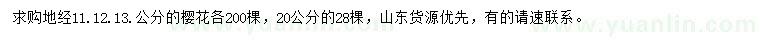 求購地徑11、12、13、20公分櫻花
