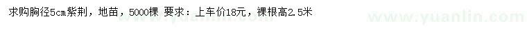 求購(gòu)胸徑5公分紫荊