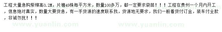 求購高0.2米紫柳