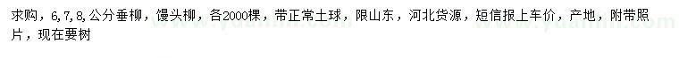 求購(gòu)6、7、8公分垂柳、饅頭柳