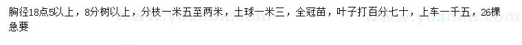 求購胸徑18.5公分以上樂昌含笑
