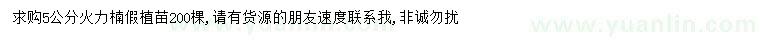 求購5公分火力楠假植苗