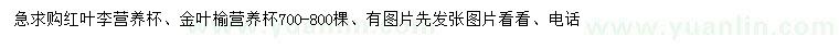 求購(gòu)紅葉李、金葉榆