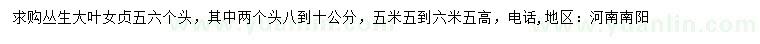 求購(gòu)高5.5-6.5米叢生大葉女貞