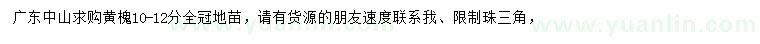 求購10-12公分黃槐