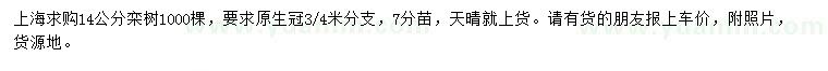 求購14公分欒樹