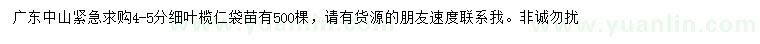 求購4-5公分細(xì)葉欖仁