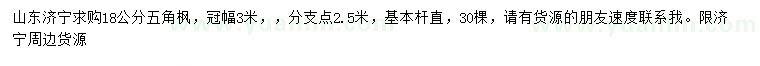 求購18公分五角楓