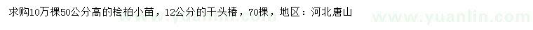 求購高50公分檜柏、12公分千頭椿