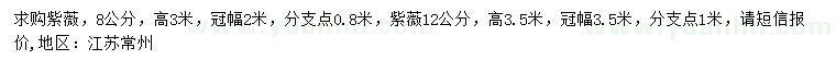求購8、12公分紫薇