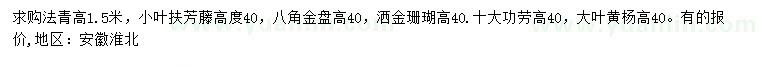 求購(gòu)法青、小葉扶芳藤、八角金盤(pán)等