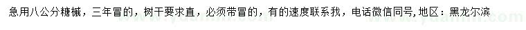 求購8公分糖槭