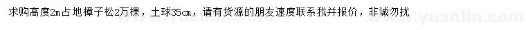 求購高2米樟子松