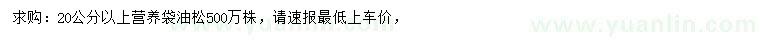 求購20公分以上油松