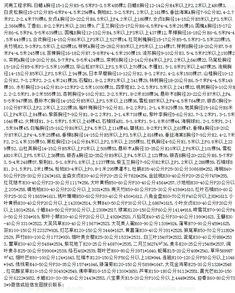 求購(gòu)白蠟、白皮松、側(cè)柏等