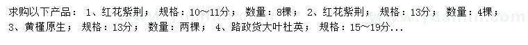 求購紅花紫荊、黃槿、原生大葉杜英