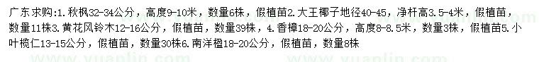 求購(gòu)秋楓、大王椰子、黃花風(fēng)鈴木等