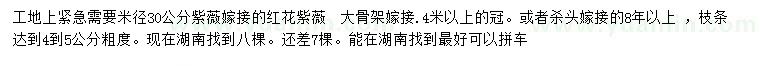 求購米徑30公分紅花紫薇