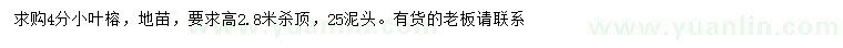 求購(gòu)高2.8米小葉榕
