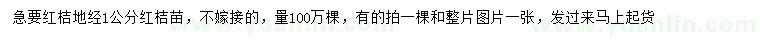 求購地經(jīng)1公分紅桔苗