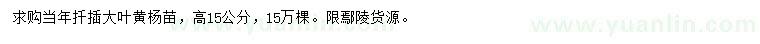 求購(gòu)高15公分大葉黃楊苗