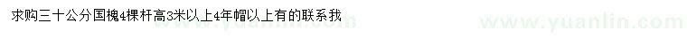 求購30公分國槐