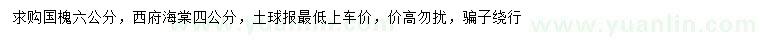 求購(gòu)6公分國(guó)槐、4公分西府海棠