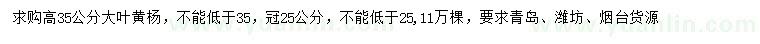 求購高35公分大葉黃楊