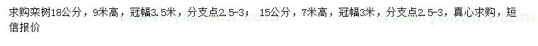 求購(gòu)18公分欒樹(shù)