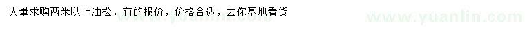 求購2米以上油松