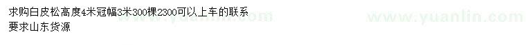 求購(gòu)高4米白皮松